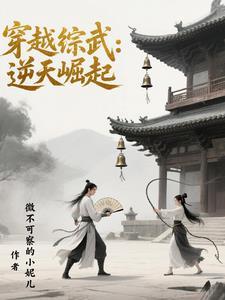 穿越综武逆天崛起免费阅读